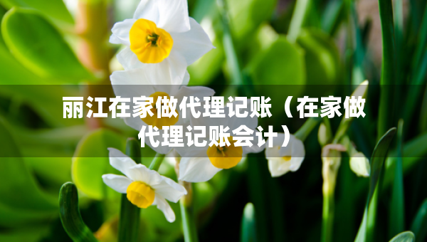麗江在家做代理記賬（在家做代理記賬會計）