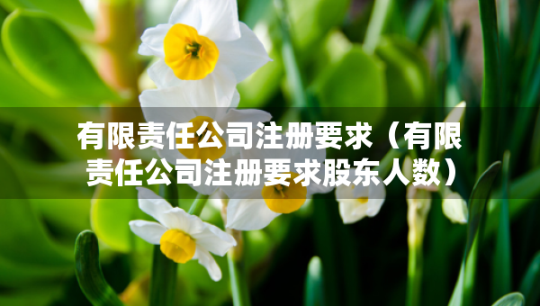有限責(zé)任公司注冊要求（有限責(zé)任公司注冊要求股東人數(shù)）