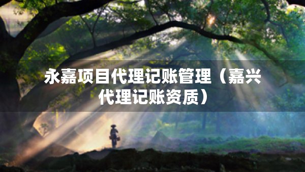 永嘉項(xiàng)目代理記賬管理（嘉興代理記賬資質(zhì)）