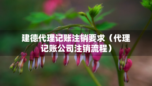 建德代理記賬注銷要求（代理記賬公司注銷流程）