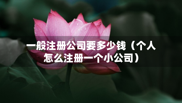 一般注冊(cè)公司要多少錢（個(gè)人怎么注冊(cè)一個(gè)小公司）
