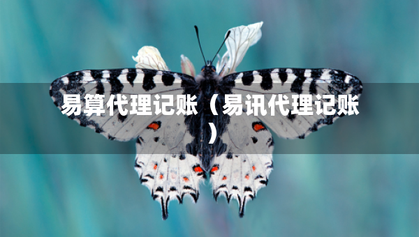 易算代理記賬（易訊代理記賬）