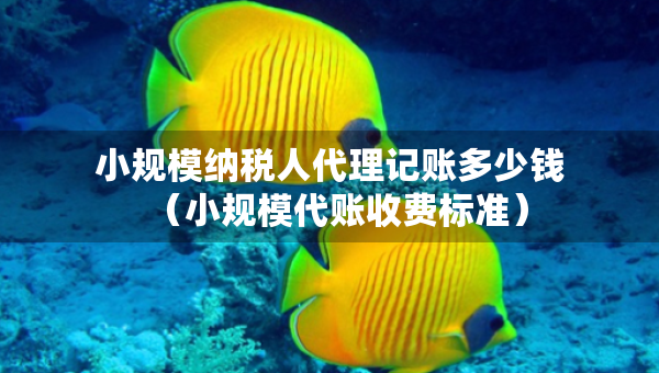 小規(guī)模納稅人代理記賬多少錢（小規(guī)模代賬收費標準）