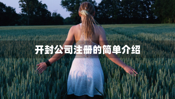 開封公司注冊的簡單介紹