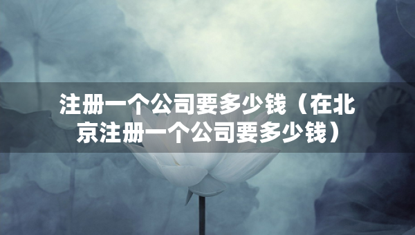 注冊一個公司要多少錢（在北京注冊一個公司要多少錢）