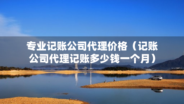 專業(yè)記賬公司代理價(jià)格（記賬公司代理記賬多少錢一個(gè)月）