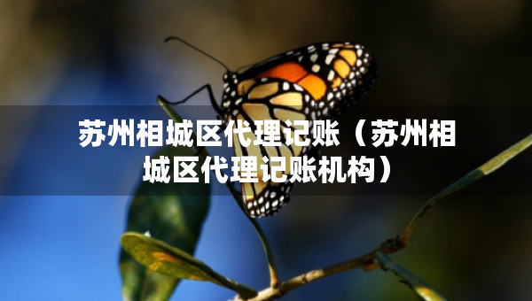 蘇州相城區(qū)代理記賬（蘇州相城區(qū)代理記賬機(jī)構(gòu)）