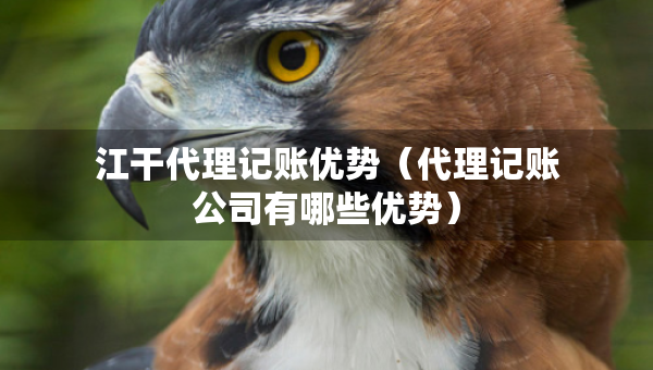 江干代理記賬優(yōu)勢(shì)（代理記賬公司有哪些優(yōu)勢(shì)）