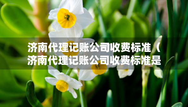 濟南代理記賬公司收費標準（濟南代理記賬公司收費標準是多少）