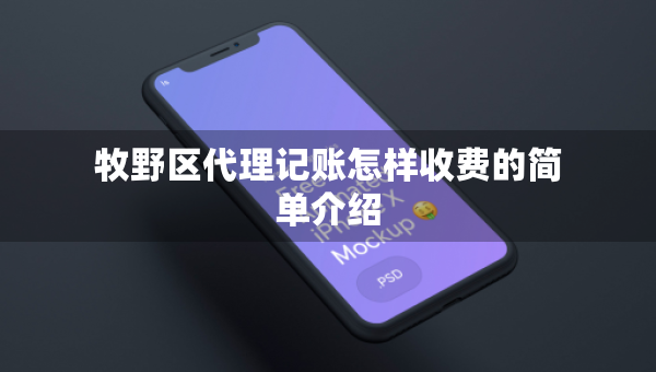 牧野區(qū)代理記賬怎樣收費的簡單介紹