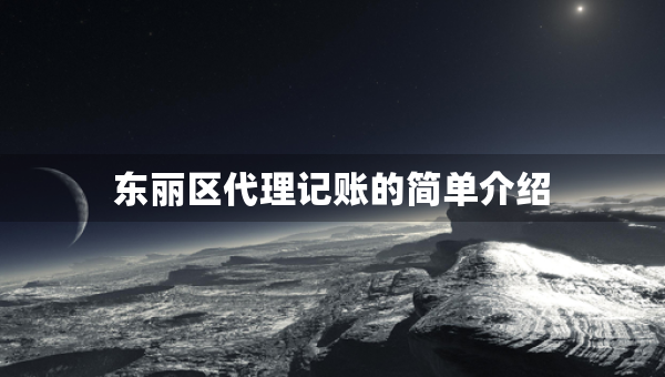 東麗區(qū)代理記賬的簡單介紹