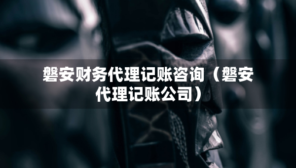 磐安財務(wù)代理記賬咨詢（磐安代理記賬公司）