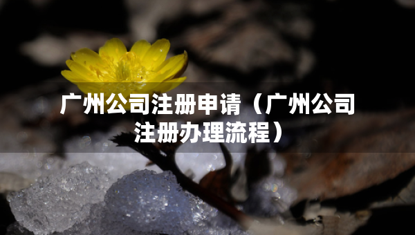 廣州公司注冊(cè)申請(qǐng)（廣州公司注冊(cè)辦理流程）