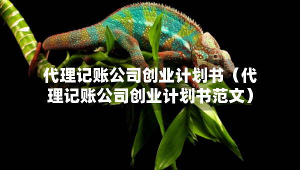 代理記賬公司創(chuàng)業(yè)計(jì)劃書（代理記賬公司創(chuàng)業(yè)計(jì)劃書范文）