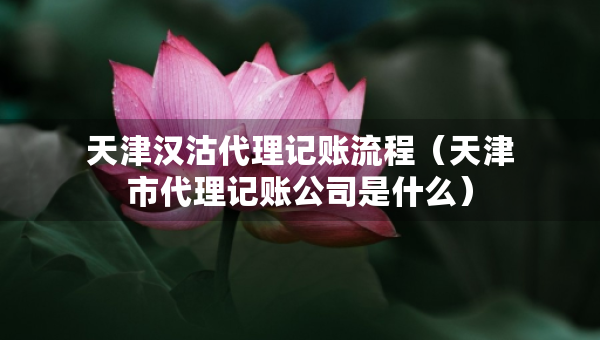 天津漢沽代理記賬流程（天津市代理記賬公司是什么）