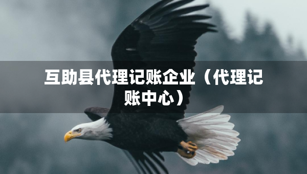 互助縣代理記賬企業(yè)（代理記賬中心）