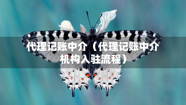 代理記賬中介（代理記賬中介機(jī)構(gòu)入駐流程）