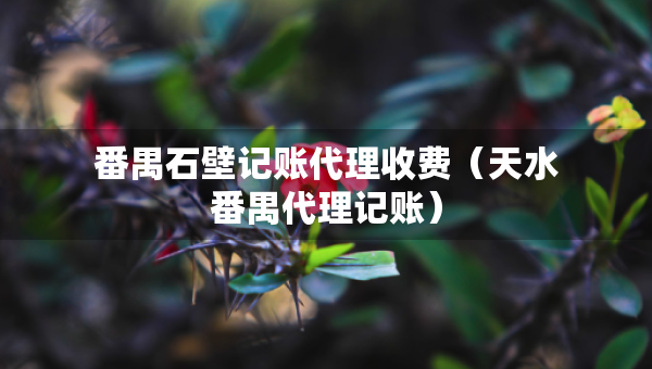 番禺石壁記賬代理收費(fèi)（天水番禺代理記賬）