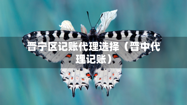 晉寧區(qū)記賬代理選擇（晉中代理記賬）