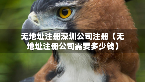 無(wú)地址注冊(cè)深圳公司注冊(cè)（無(wú)地址注冊(cè)公司需要多少錢）