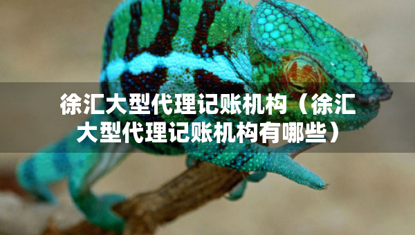 徐匯大型代理記賬機(jī)構(gòu)（徐匯大型代理記賬機(jī)構(gòu)有哪些）