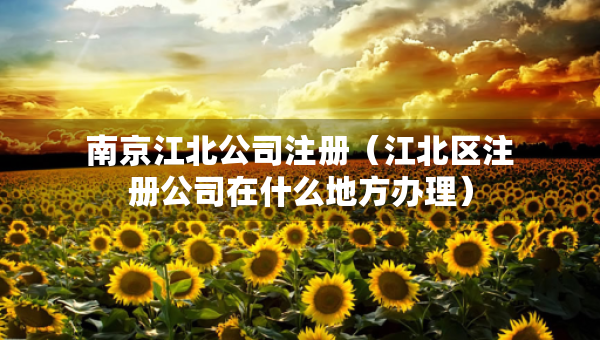 南京江北公司注冊(cè)（江北區(qū)注冊(cè)公司在什么地方辦理）