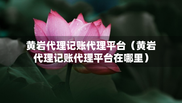 黃巖代理記賬代理平臺(tái)（黃巖代理記賬代理平臺(tái)在哪里）