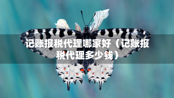 記賬報稅代理哪家好（記賬報稅代理多少錢）