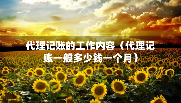 代理記賬的工作內(nèi)容（代理記賬一般多少錢一個(gè)月）
