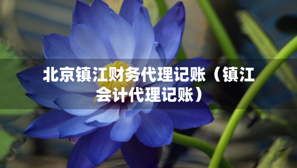 北京鎮(zhèn)江財(cái)務(wù)代理記賬（鎮(zhèn)江會(huì)計(jì)代理記賬）