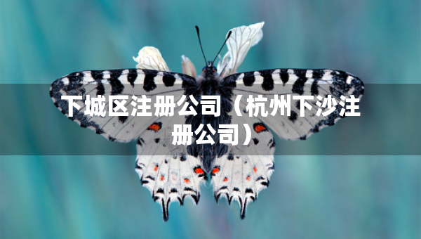 下城區(qū)注冊公司（杭州下沙注冊公司）