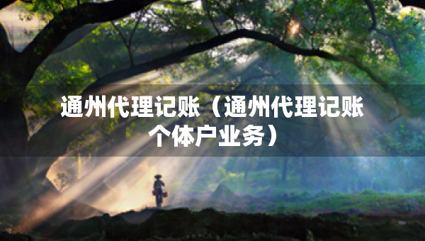 通州代理記賬（通州代理記賬個體戶業(yè)務(wù)）