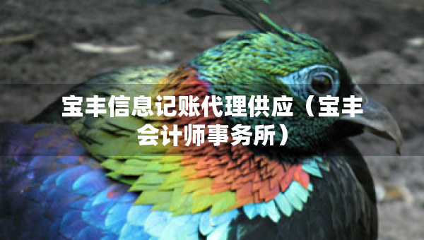 寶豐信息記賬代理供應(yīng)（寶豐會(huì)計(jì)師事務(wù)所）