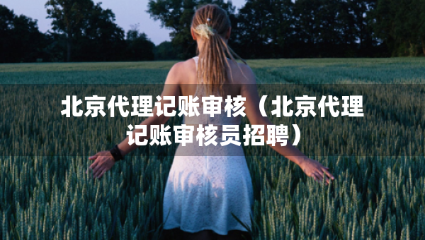 北京代理記賬審核（北京代理記賬審核員招聘）