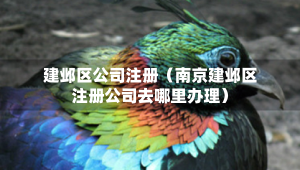 建鄴區(qū)公司注冊(cè)（南京建鄴區(qū)注冊(cè)公司去哪里辦理）