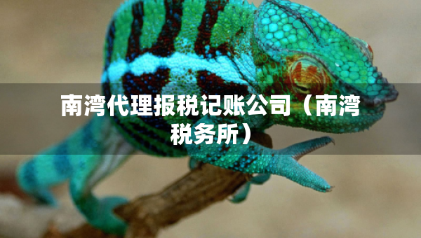 南灣代理報稅記賬公司（南灣稅務(wù)所）