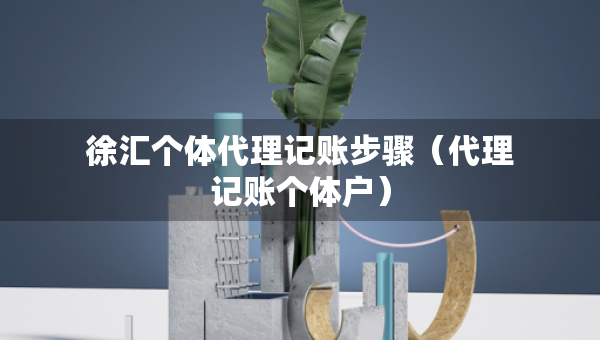 徐匯個(gè)體代理記賬步驟（代理記賬個(gè)體戶）