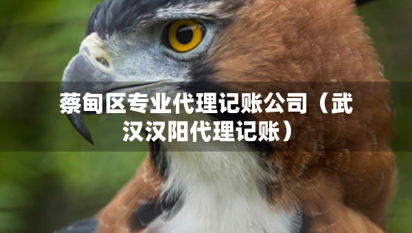 蔡甸區(qū)專業(yè)代理記賬公司（武漢漢陽代理記賬）