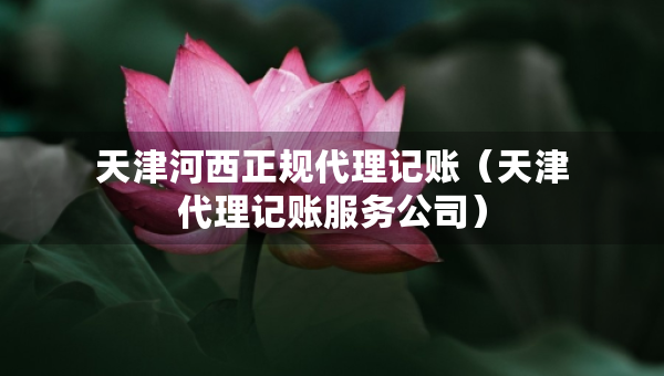 天津河西正規(guī)代理記賬（天津代理記賬服務(wù)公司）