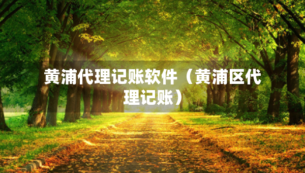 黃浦代理記賬軟件（黃浦區(qū)代理記賬）