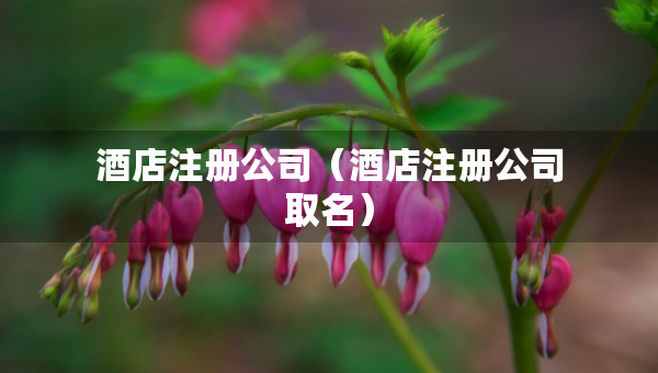 酒店注冊公司（酒店注冊公司取名）
