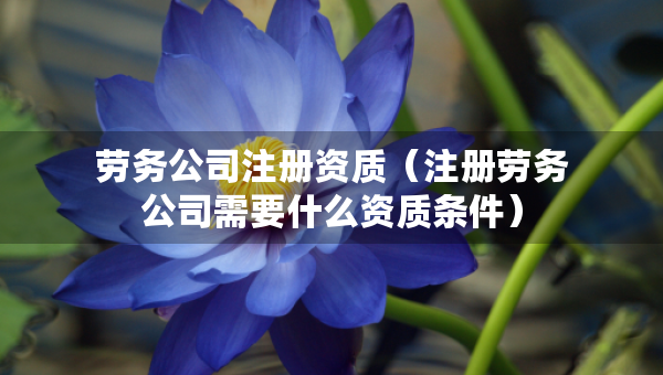 勞務公司注冊資質（注冊勞務公司需要什么資質條件）
