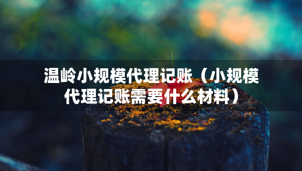 溫嶺小規(guī)模代理記賬（小規(guī)模代理記賬需要什么材料）