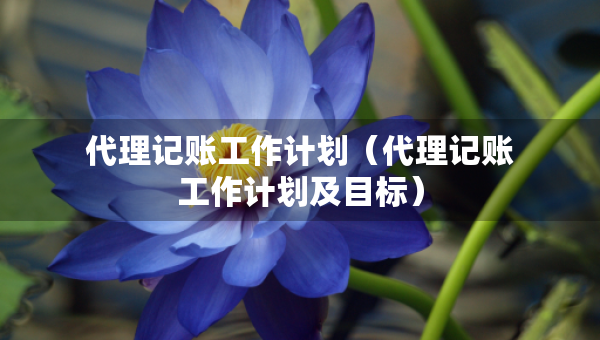 代理記賬工作計(jì)劃（代理記賬工作計(jì)劃及目標(biāo)）