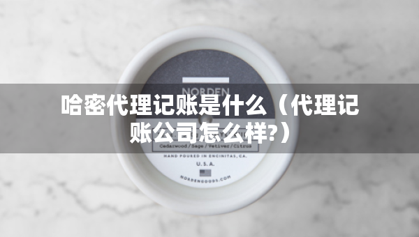 哈密代理記賬是什么（代理記賬公司怎么樣?）