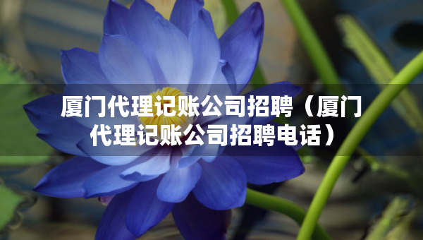 廈門代理記賬公司招聘（廈門代理記賬公司招聘電話）