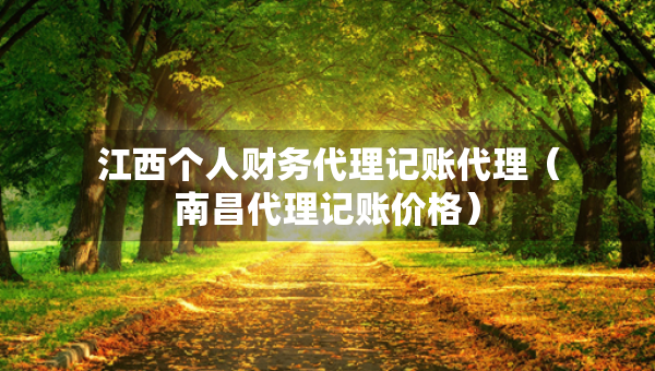 江西個人財務代理記賬代理（南昌代理記賬價格）