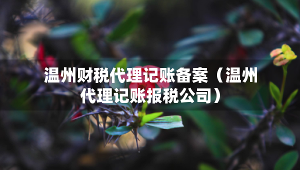 溫州財稅代理記賬備案（溫州代理記賬報稅公司）