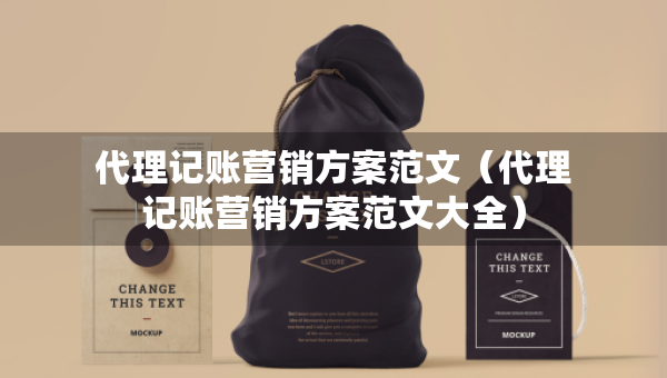代理記賬營銷方案范文（代理記賬營銷方案范文大全）