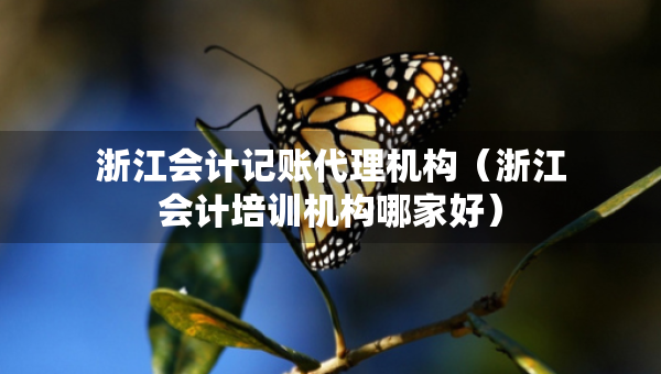 浙江會(huì)計(jì)記賬代理機(jī)構(gòu)（浙江會(huì)計(jì)培訓(xùn)機(jī)構(gòu)哪家好）